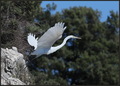 Otok Plavnik 2&hellip;