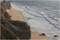 Ptice Portugal&hellip;