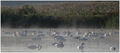 Labuđe jezero &hellip;