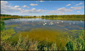 Labuđe jezero.&hellip;