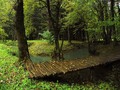 da ne zaboravi&hellip;