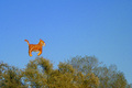 foto safari na&hellip;