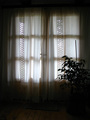 dan 15 - kod s&hellip;