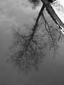 dan 27 - ogled&hellip;