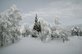 na sjevernoj s&hellip;