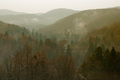ranojutarnji p&hellip;