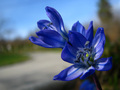 something blue&hellip;
