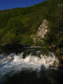 Koranina sjena&hellip;