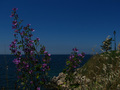pripreme za Ph&hellip;