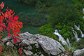 detalj s Plitv&hellip;