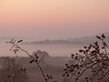 plodovi jeseni&hellip;