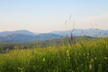 kud mi pogled &hellip;