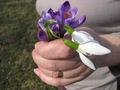 Spring in her &hellip;