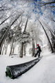Miro Nosepress&hellip;