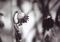 A long time ag&hellip;