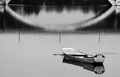 Sisačke reflek&hellip;