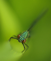 plitki dof :))&hellip;