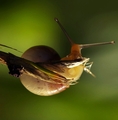 we come in pea&hellip;
