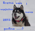 SRETNA I ZDRAV&hellip;