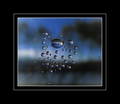 plavi safir (b&hellip;