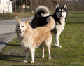 Maza & Ato&hellip;