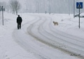 ... pasje (snj&hellip;
