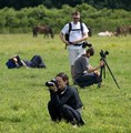 foto - safari &hellip;