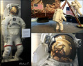 Apollo Lunar M&hellip;