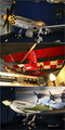 Air and Space &hellip;