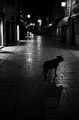 tako lijepa,a &hellip;