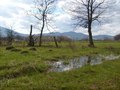 Vodeno ogledalo