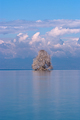 Tree In The Mi&hellip;