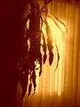 Suncan sjaj..s&hellip;