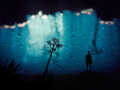 man from aquar&hellip;