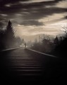 the way of the&hellip;