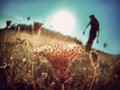 where the sun &hellip;