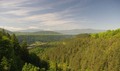 pogled