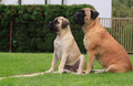 Frida & Ra&hellip;