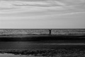 Čuvar Horizont&hellip;