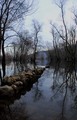 Poseljani-skad&hellip;