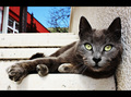 ...skori napad&hellip;