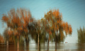 Refleksije jes&hellip;