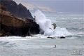 Atlantic kite &hellip;