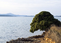 Pogled u dalji&hellip;