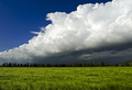 Zeleno plava m&hellip;