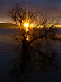 Sunce na staba&hellip;