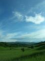 Blana