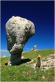 crna marica, j&hellip;