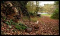 wheel of fortu&hellip;