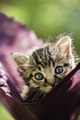 Helouu,my name&hellip;